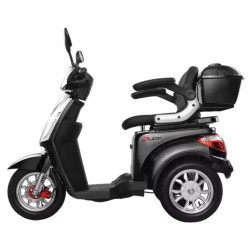 Triciclo elétrico duos eco 10 1000Wats 20 a 48v